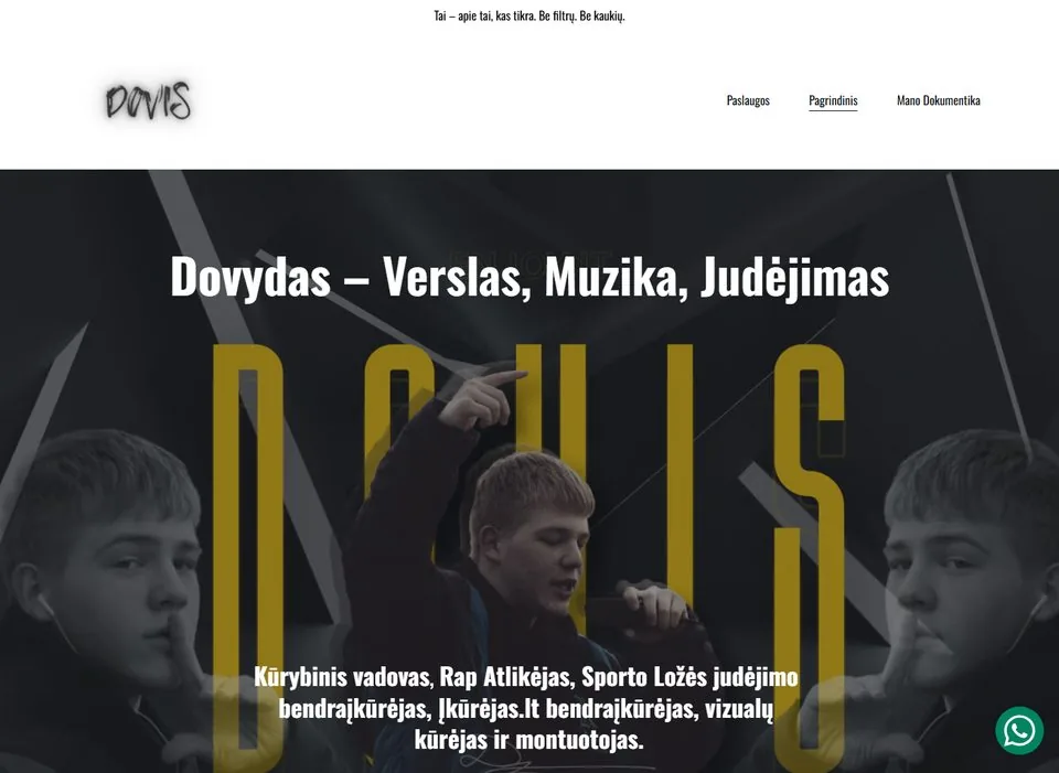 dovis website screenshot