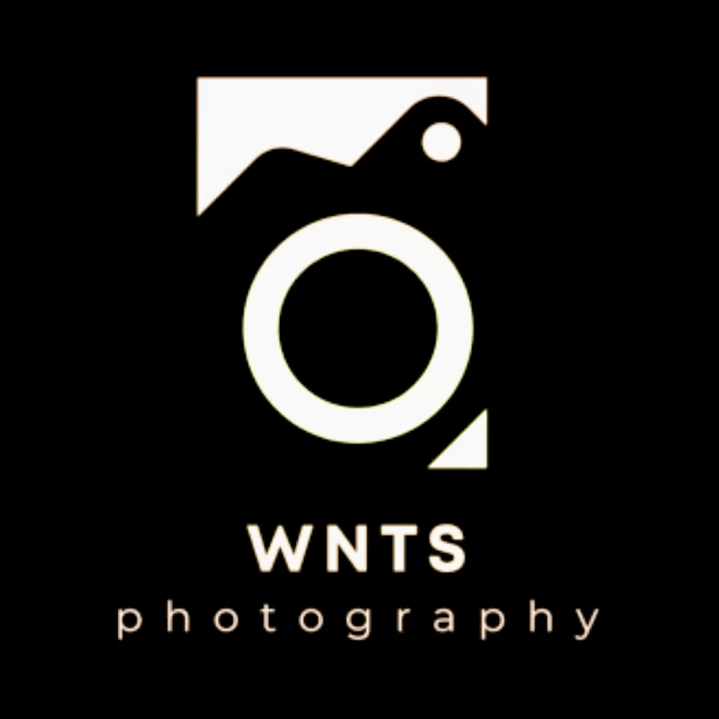 WNTS Photography logo